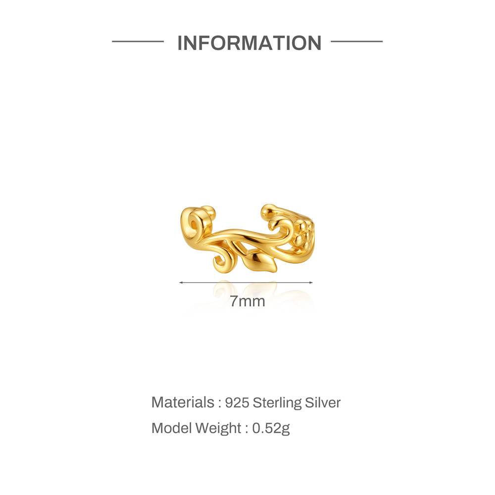Aide Orecchino a Clip Minimali - Ear Cuff No Piercing recensione e prezzo